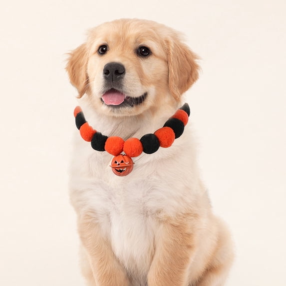 EazyTech Halloween Pet Collar for Cats and Dogs with Pumpkin Bells, Festive Elastic Soft Adjustable Costume Accessory for Small Medium Large Pets