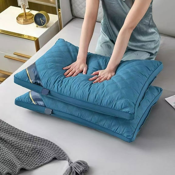 EazyTech Hotel Odorless Pillow Queen Size Ultra Soft Sleeping Pillow Breathable for Side and Back Sleepers 20x30in Blue