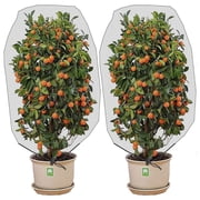 Ebaokuup 2 Pcs 4.9 x 3.2 Insect Bird Netting with Drawstring for Plants