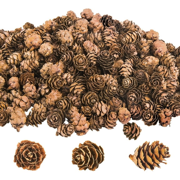 Ebaokuup 800PCS Christmas Natural Mini Pine Cones-Thanksgiving Pinecones Ornaments-Fall Small Pinecones Vase Fillers for DIY Crafts, Fall, Christmas,Wedding Decor