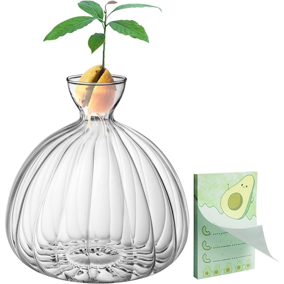 Ebaokuup Avocado Seed Starter Vase,Thickened Striped Avocado Seed Sprout Glass Container, Avocado Tree Planting Growing Kit with Avocado Sticker for Plant Gardening Lover (Striped),striped
