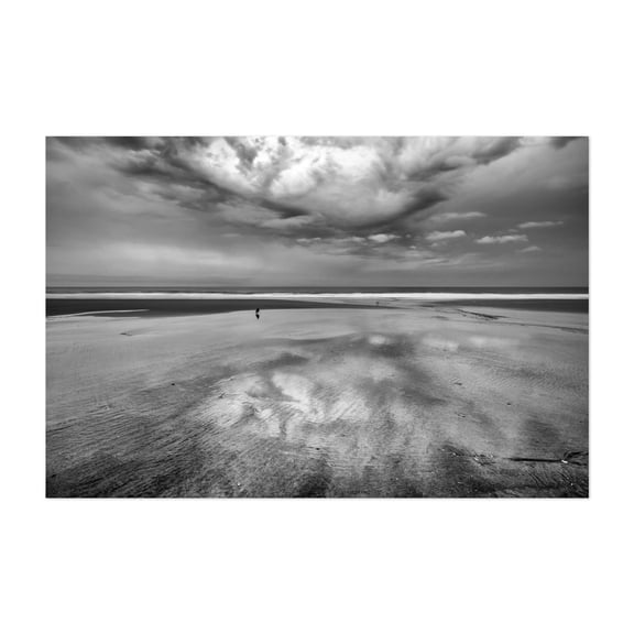 Ebb and Flow - San Diego California Photography Unframed Wall Art Print 20 x 30 inches