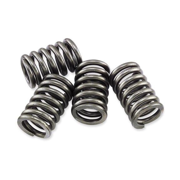 Ebc CSK172 CSK Clutch Spring Kit