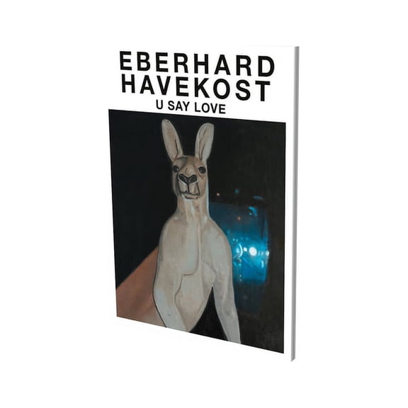 Eberhard Havekost: U Say Love : Kat. CFA Berlin (Paperback)