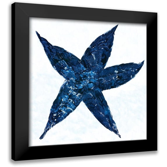 Ebert, Roey 20x20 Black Modern Framed Museum Art Print Titled - Midnight Starfish