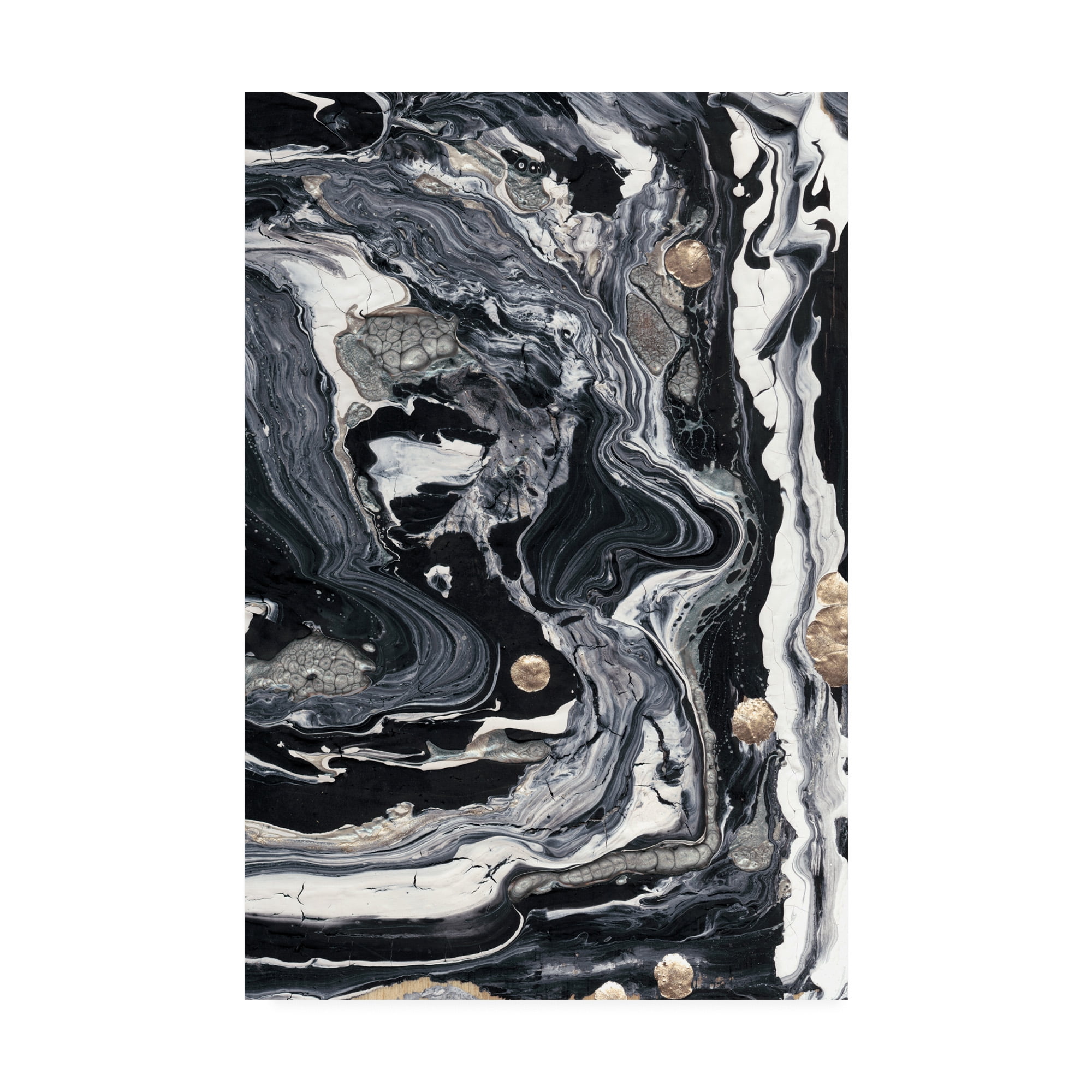 Ebony And Ivory II' Canvas Art by Alicia Ludwig
