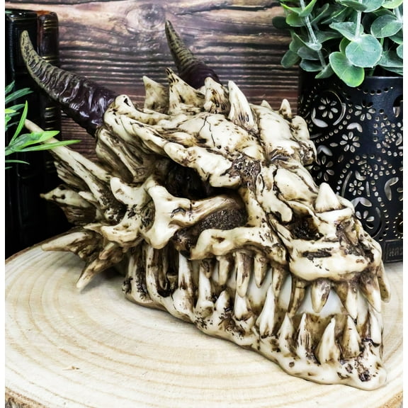Ebros 9" L Grinning Fossil Bone Skeleton Dragon Skull 'Stryker' Decorative Box
