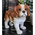 thumbnail image 1 of Ebros Adorable Cavalier King Charles Spaniel Puppy Dog Breed Statue 6.25" Long, 1 of 7