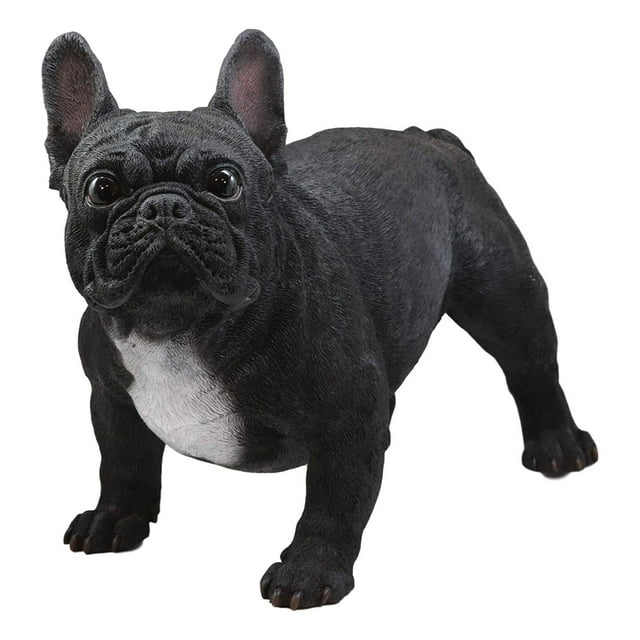 Ebros Adorable Large Lifelike Realistic Black French Bulldog Statue with Glass Eyes 19.5" Long Frenchie Figurine Pedigree Breed Animal Theme Dogs Puppy Puppies Sculpture