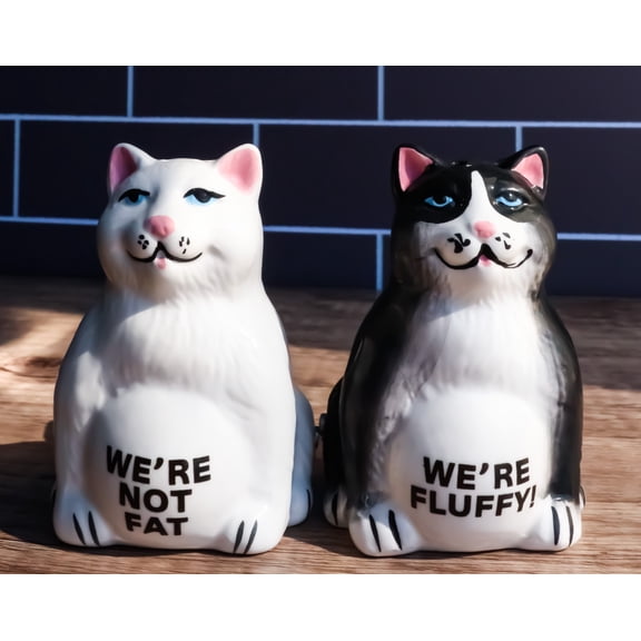 Ebros Black And White Cute Fluffy Cats Salt & Pepper Shakers Magnetic Set 3.25"H