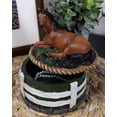 thumbnail image 1 of Ebros Brown Stallion Horse At Rest Round Jewelry Trinket Decorative Box 5.25"H, 1 of 7
