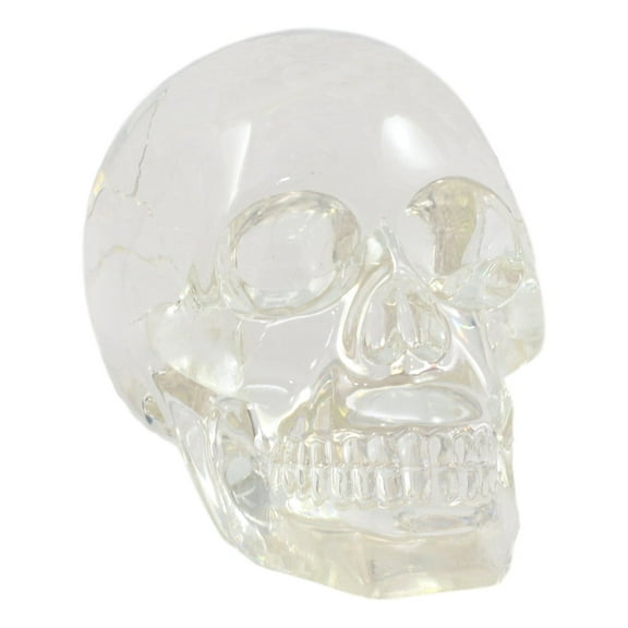 Ebros Clear Translucent Witching Hour Gazing Skull Statue 5.5" Long Made Of Acrylic Resin Occultic Witchcraft Shrine Cranium Decorative Figurine