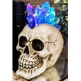 thumbnail image 1 of Ebros Colorful LED Light Mohawk Crystal Hair Cranium Skull Figurine 7" Long, 1 of 9