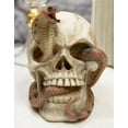 thumbnail image 1 of Ebros Cranium Skeleton Cobra Snake Habitat Skull Statue Figurine 4.25"H, 1 of 7