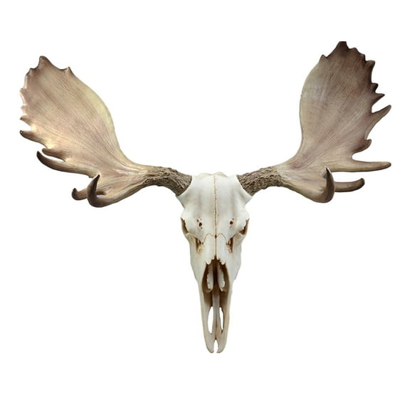 Ebros Czar North American Bull Moose Skull Wall Decor 22"Wide Wall Mount Plaque Sculpture Figurine