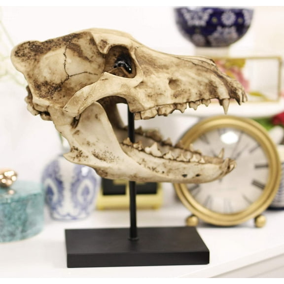 Ebros Direwolf Fossil Skull Statue On Pole Mount and Brass Name Plate 12.5" Long