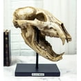 thumbnail image 1 of Ebros Faux Taxidermy Black Bear Skull Baring Teeth Statue On Pole Mount Display, 1 of 8