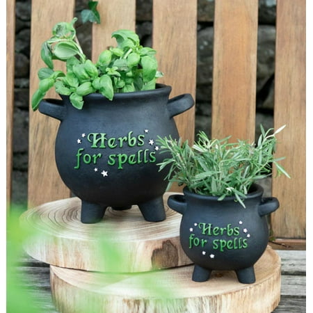 Ebros Gift Cauldron Multicolor Resin Plant Planter 2 Count