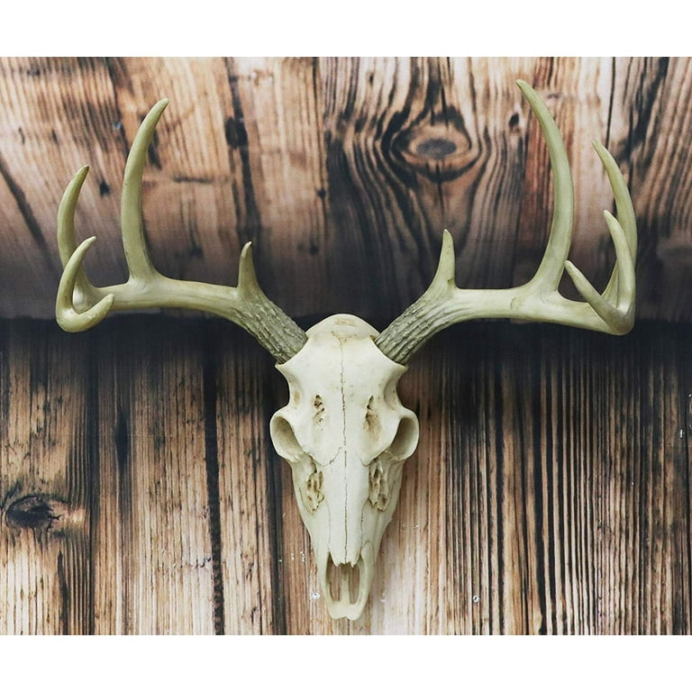 Ebros Gift Rustic Hunter Deer Skull Antler Wall Decor, 15.5