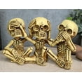 thumbnail image 1 of Ebros Gothic Alchemy See Hear Speak No Evil Skeletons Macabre Figurine Home Decor, 1 of 7