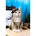thumbnail image 1 of Ebros Gray Tabby Cat with Wizard Witches Hat Collectible Home Decor Figurine, 1 of 7