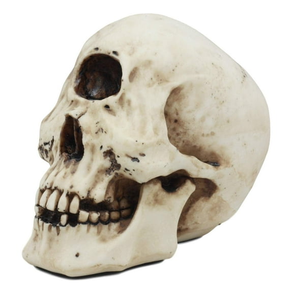 Ebros Greek Mythology Primordial Giant Cyclops Skull Statue 6.75" Long