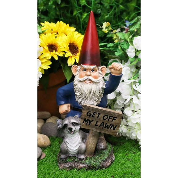 Ebros Grumpy Mr Gnome Dwarf With Feisty Raccoon Raising Fists Not Welcome Statue