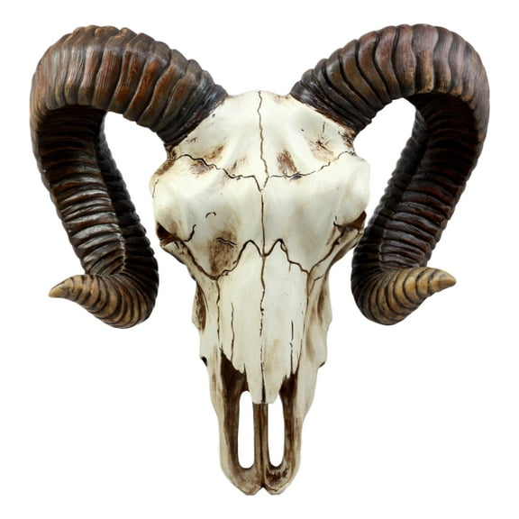 Ebros Large Bighorn Ram Skull Wall Decor 11.25" Wide Hanging Sculpture Plaque Wild Beast Trophy Figurine