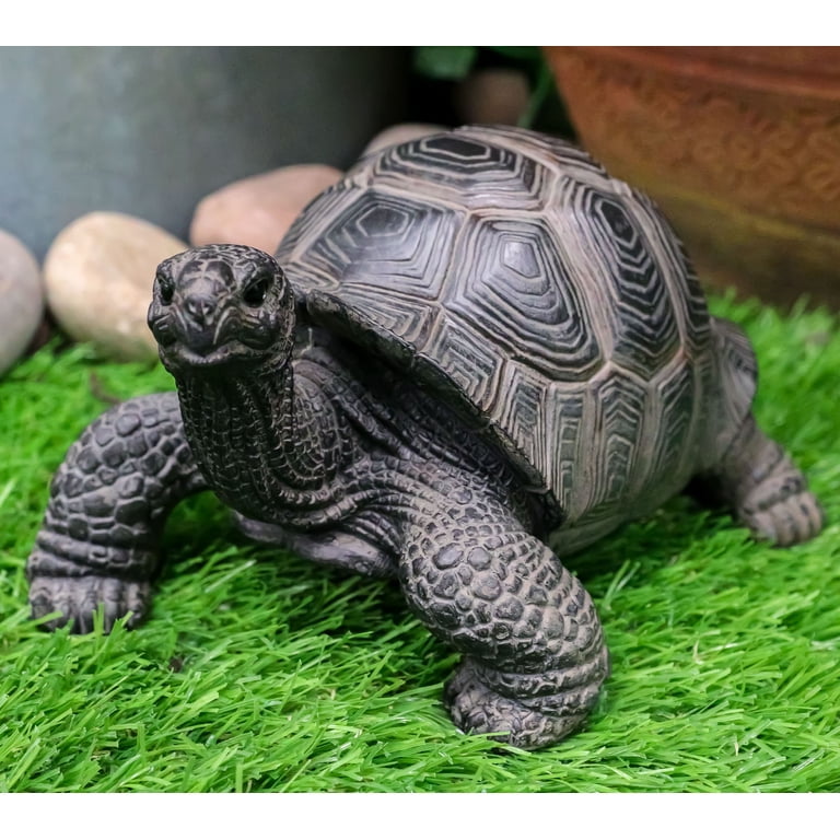 Ebros Lifelike Galapagos Tortoise Statue 6.5