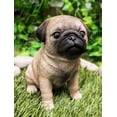 thumbnail image 1 of Ebros Lifelike Sitting Pug Dog Statue 6" Tall Pet Pal Figurine with Glass Eyes, 1 of 8