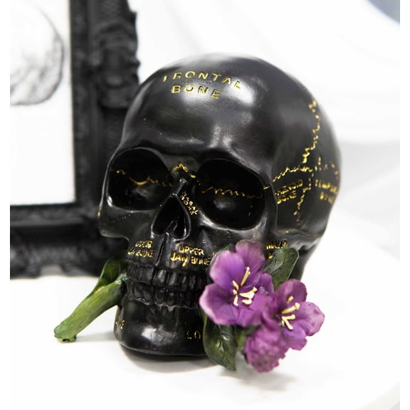 Ebros Paranormal Pentagram Colonial Witch Salem Map Skull Statue 7" Long