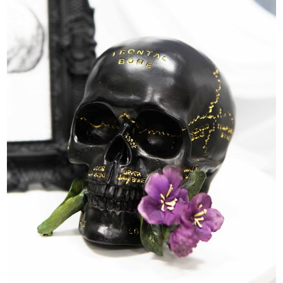 Ebros Paranormal Pentagram Colonial Witch Salem Map Skull Statue 7" Long