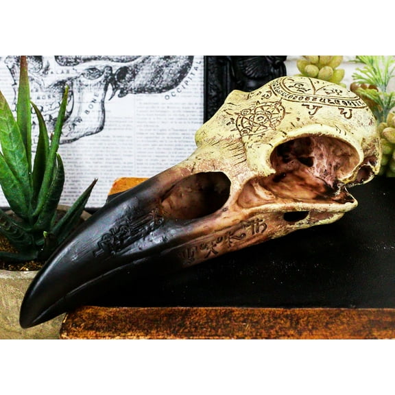 Ebros Pentagram Omega Alchemy Raven Crow Skull Figurine with Carved Rune Symbols