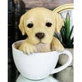 thumbnail image 1 of Ebros Realistic Adorable Labrador Puppy Teacup Statue 5.5" Tall Pet Pal, 1 of 6
