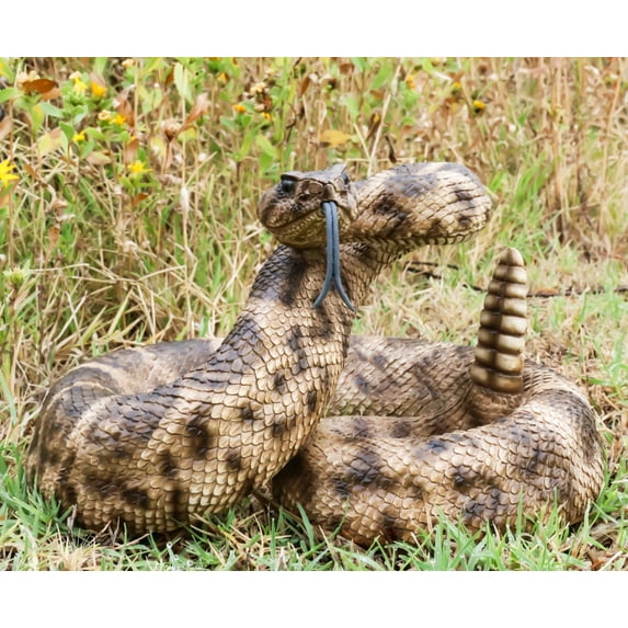 Ebros Realistic Diamondback Rattlesnake Hand Painted Taxidermy Statue 8.25"Long