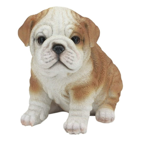 Ebros Realistic Lifelike Bulldog Puppy Statue 6" Tall British Bulldog Figurine