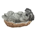 thumbnail image 1 of Ebros Realistic Miniature Schnauzer Puppy Figurine 7" Long Lifelike Schnauzer Dog Sleeping in Wicker Basket Statue, 1 of 5