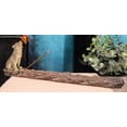 thumbnail image 1 of Ebros Sitting Alpha Gray Wolf Howling by The Creek Incense Burner Holder, 1 of 6