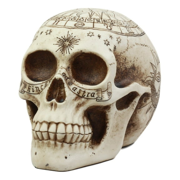 Ebros Solar Astrology Celestial Skull Statue Cartography Skull Cranium Figurine