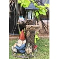 thumbnail image 1 of Ebros Summer Slumber Gnome With Buddy Turtle Solar Path LED Light Garden Statue, 1 of 9