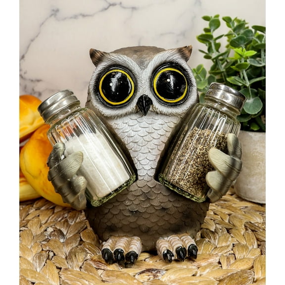 Ebros Whimsical Owlet Baby Owl W/ Big Round Eyes Glass Salt & Pepper Shakers Set