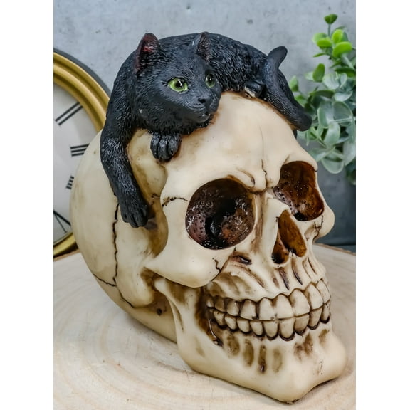 Ebros Witching Hour Black Mystical Cat Perching On Skull Macabre Figurine