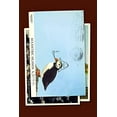 thumbnail image 1 of Pre-Owned Eccentric Islands: Travels Real and Imaginary (Hardcover) 1571312455 9781571312457, 1 of 1