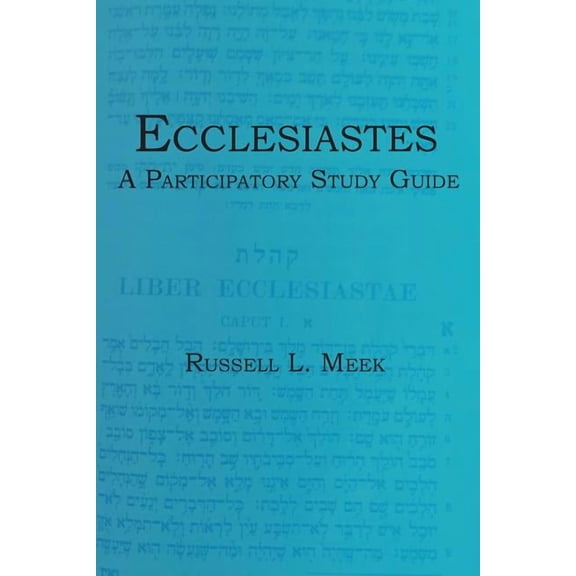 Ecclesiastes: A Participatory Study Guide (Paperback)