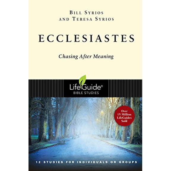 Pre-Owned Ecclesiastes: Chasing After Meaning (Paperback) 0830830278 9780830830275