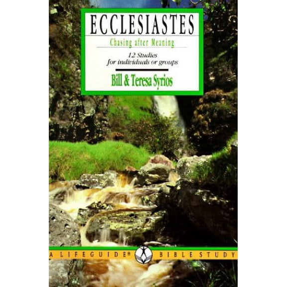 Pre-Owned Ecclesiastes: Chasing After Meaning (Paperback) 0830810277 9780830810277