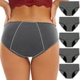thumbnail image 1 of EchfiProm 5PC Panties for Women Pack Gray Breathable Comfortable Polyester Plus Size Period XXXXL, 1 of 9