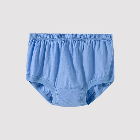 EchfiProm Seamless Hipster Panties for Women 1PC Light Blue Cotton Breathable Comfortable Plus Size Briefs XXL