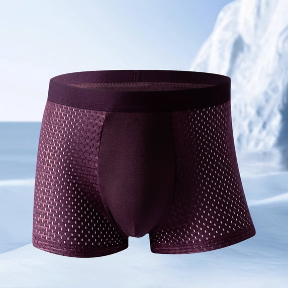 EchfiProm Underwear Mens Boxer Briefs Red Ice Silk Breathable Cooling Moisture-Wicking 2XL Underpants
