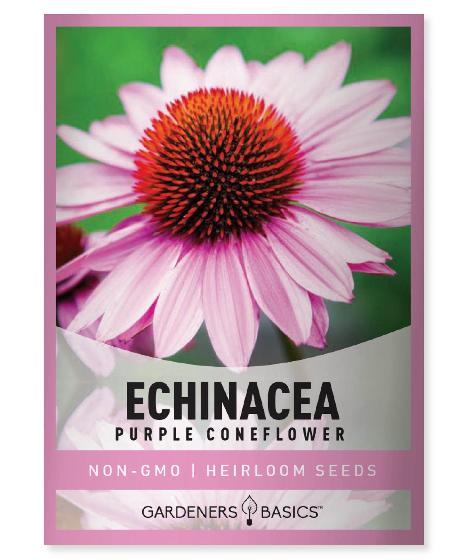 Coneflower Echinacea Seeds
